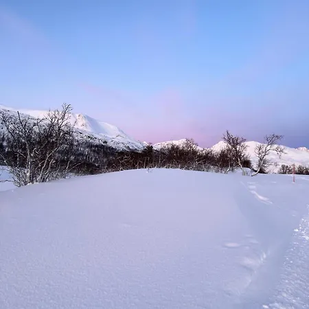 Hytte I Skinnelv, Lyngen Exterior photo