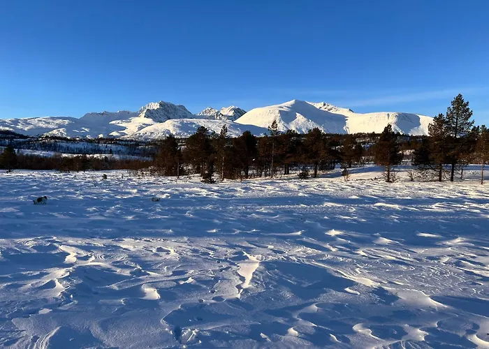 Hytte I Skinnelv, Lyngen