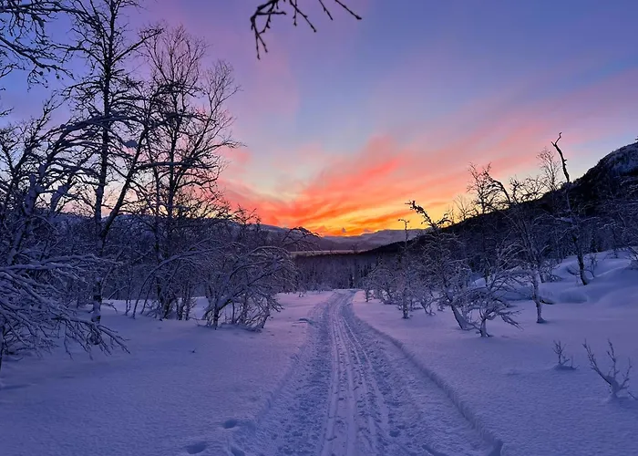 Hytte I Skinnelv, Lyngen