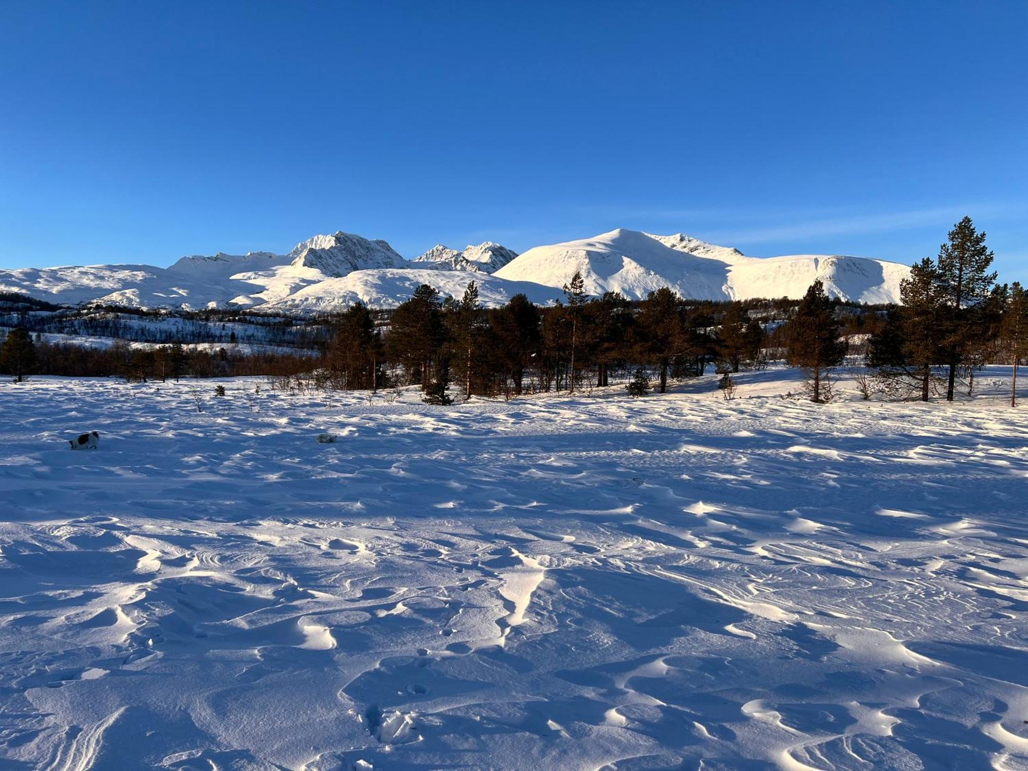 I Skinnelv, Lyngen Skinnelv